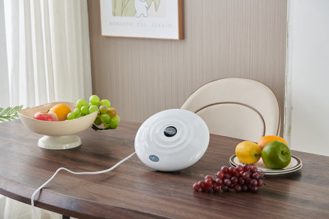 Máquina de desinfección de frutas y verduras Mundair W01
